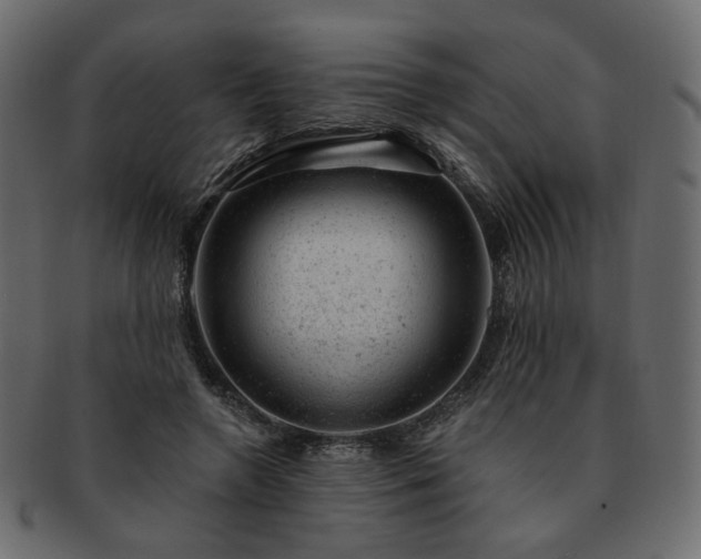 X0000093210546200710031422