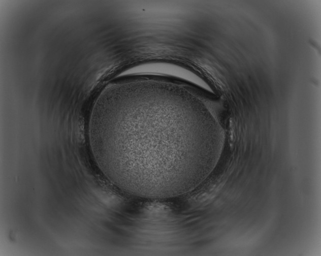 X0000093210547200710031422