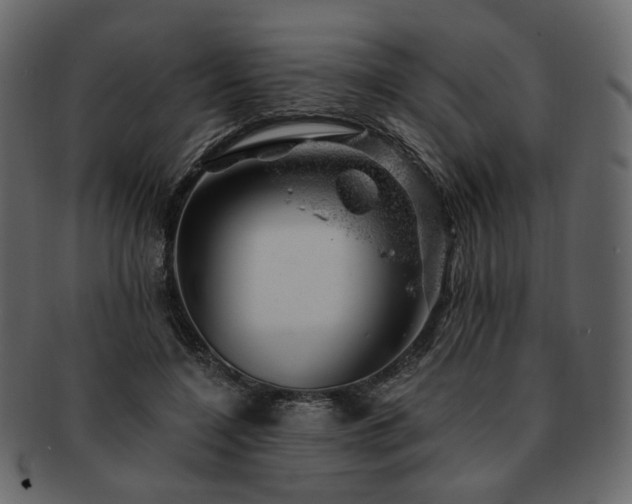 X0000093210548200710031422