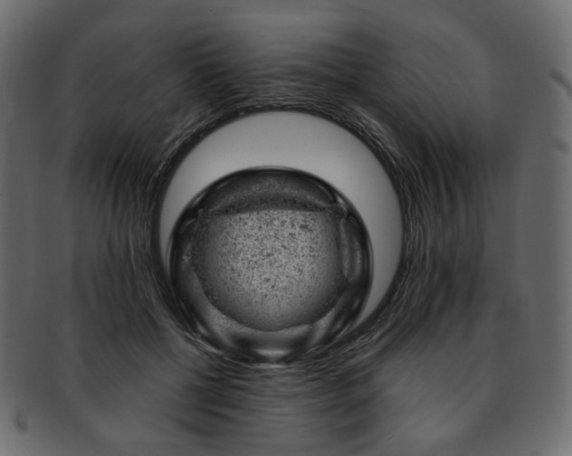 X0000093210552200710031422