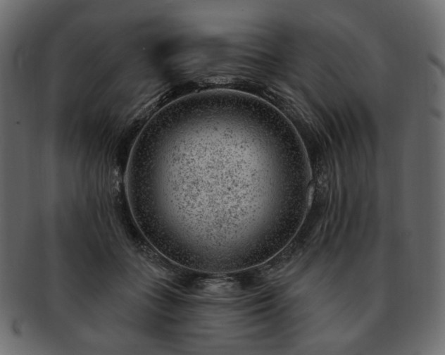 X0000093210555200710031422