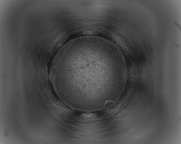 X0000093210557200710031423