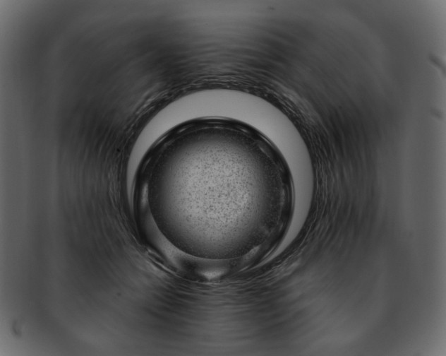 X0000093210558200710031423