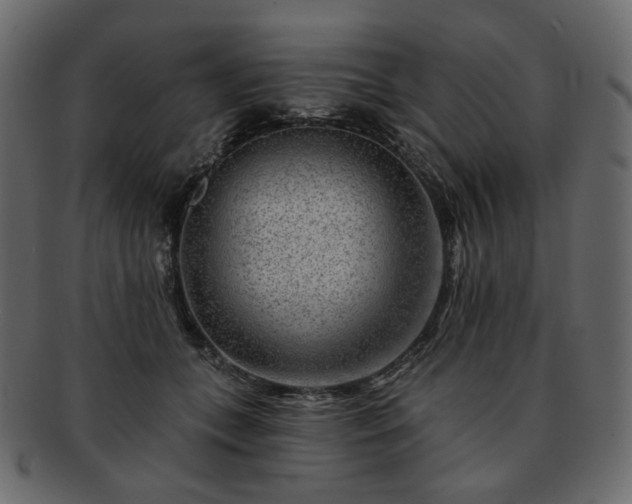 X0000093210559200710031423