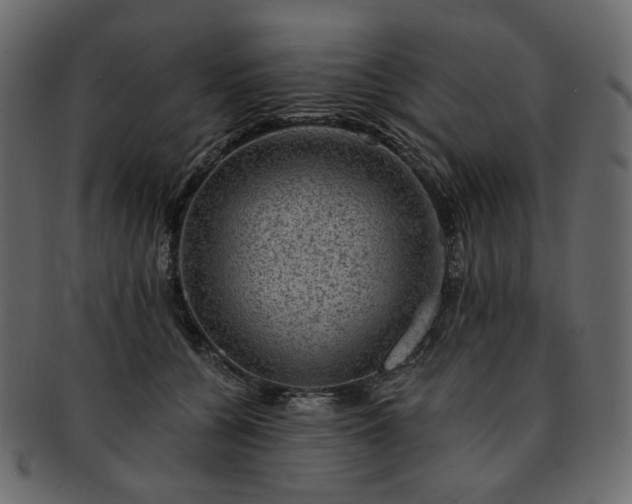 X0000093210560200710031423