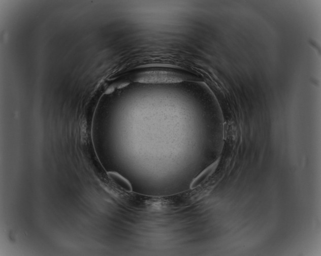 X0000093210564200710031423