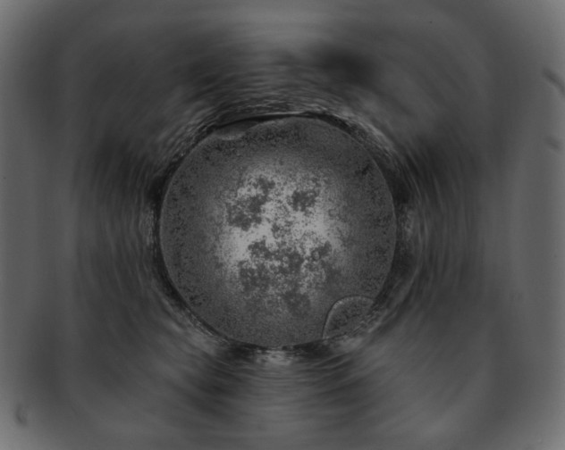 X0000093210565200710031423