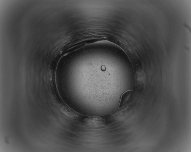 X0000093210567200710031423