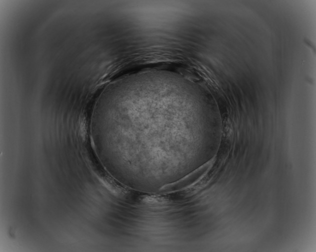 X0000093210568200710031423