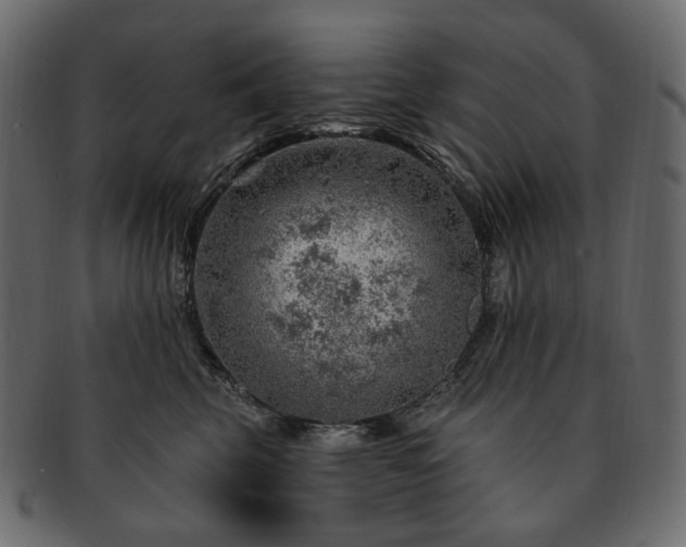 X0000093210569200710031423