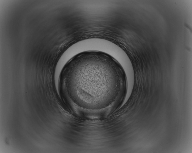 X0000093210570200710031423