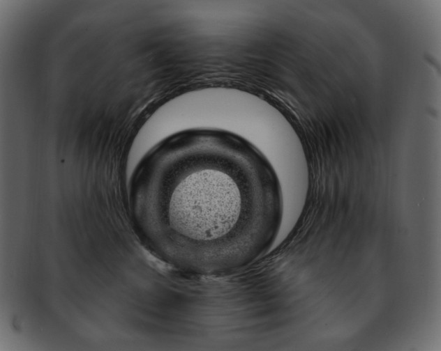 X0000093210572200710031423