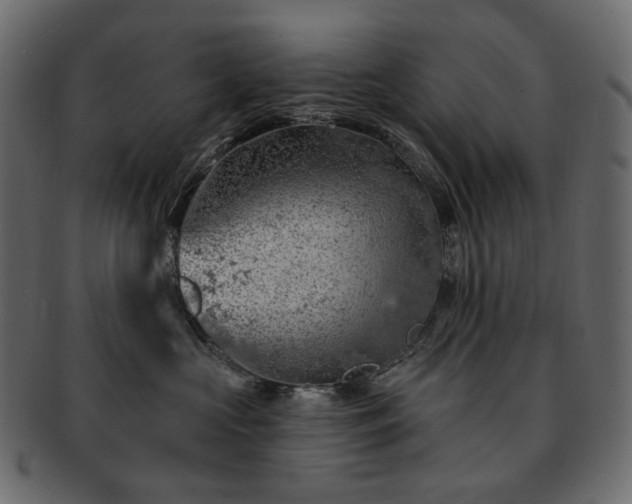 X0000093210573200710031423