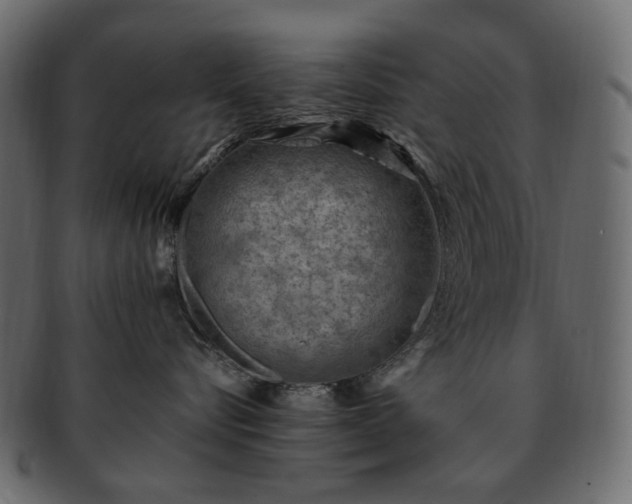 X0000093210576200710031423