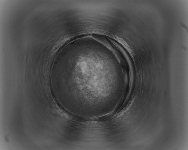 X0000093210577200710031422