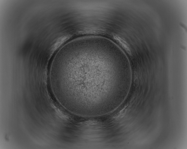 X0000093210578200710031422