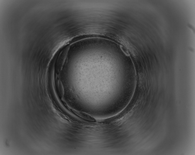 X0000093210580200710031422