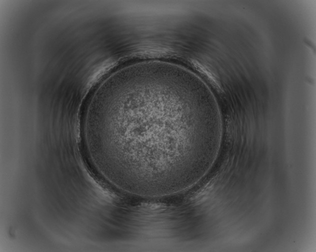 X0000093210582200710031422