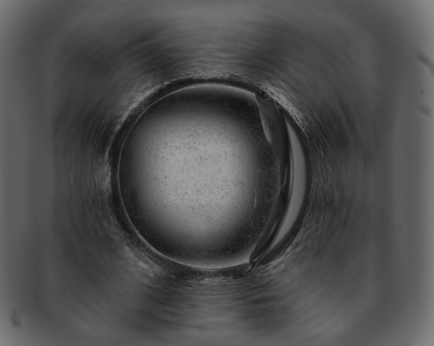 X0000093210584200710031422