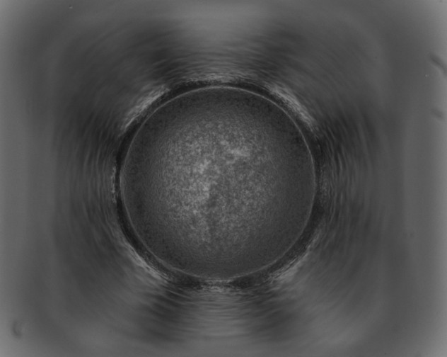 X0000093210585200710031422