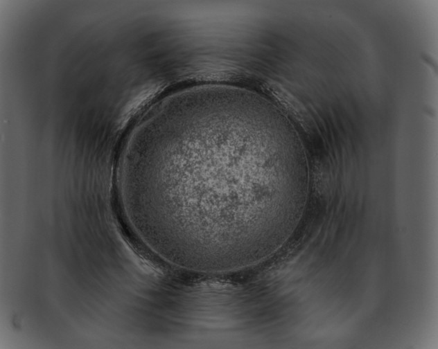 X0000093210586200710031422