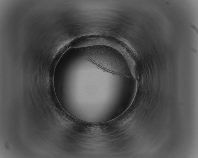 X0000093210588200710031422