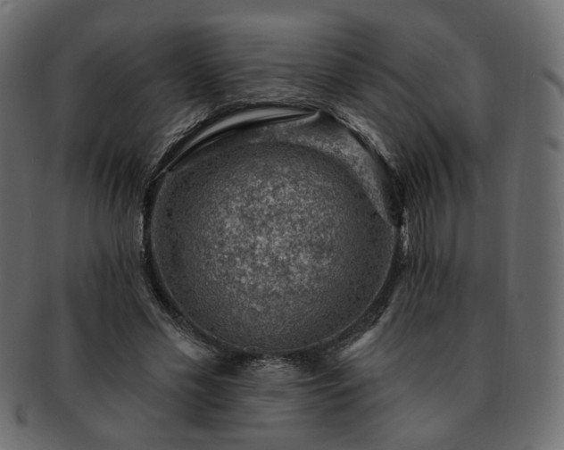 X0000093210589200710031422