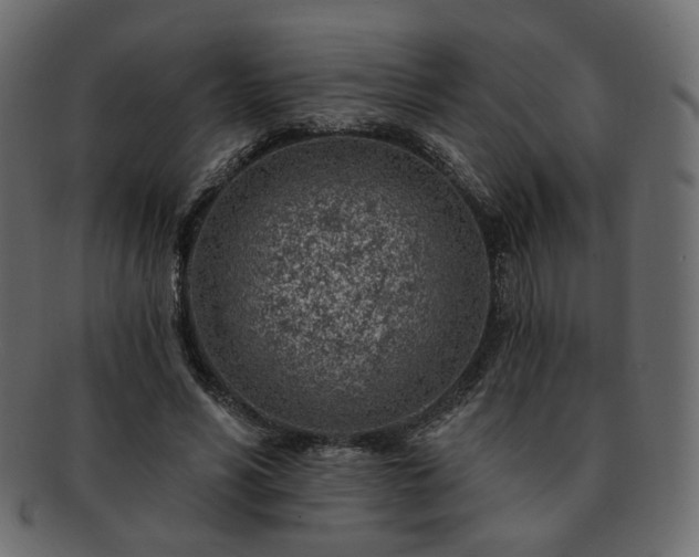 X0000093210590200710031422