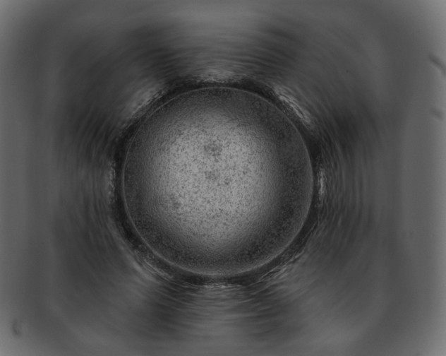 X0000093210591200710031422