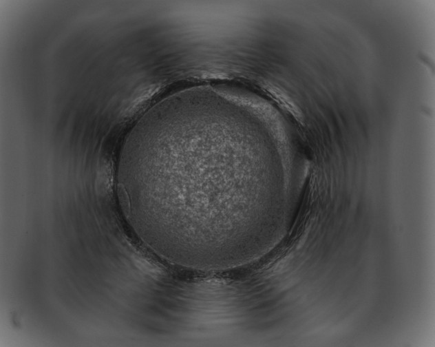 X0000093210593200710031422