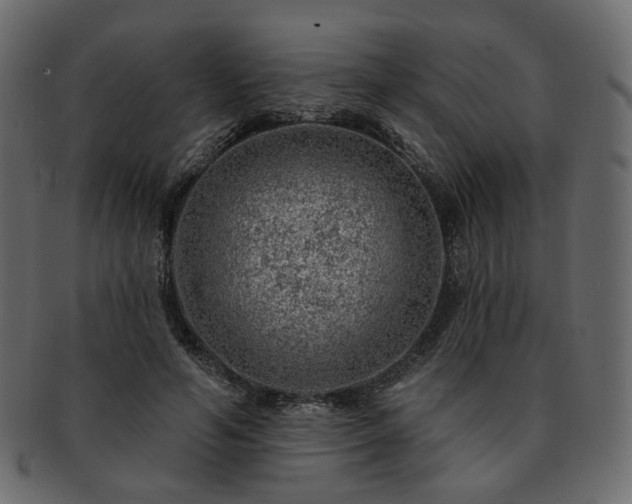 X0000093210594200710031422