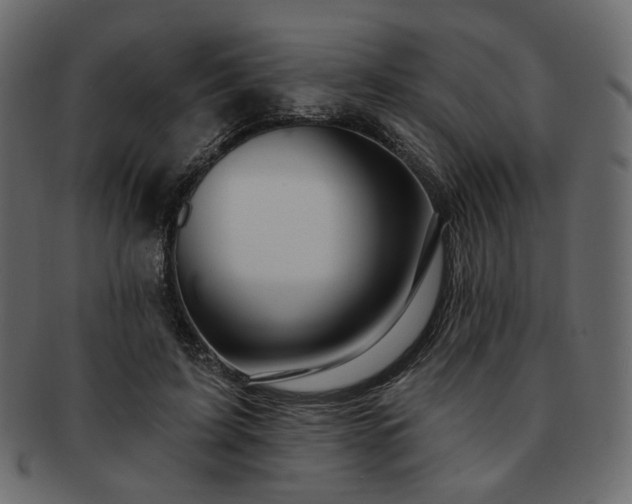 X0000093210595200710031422