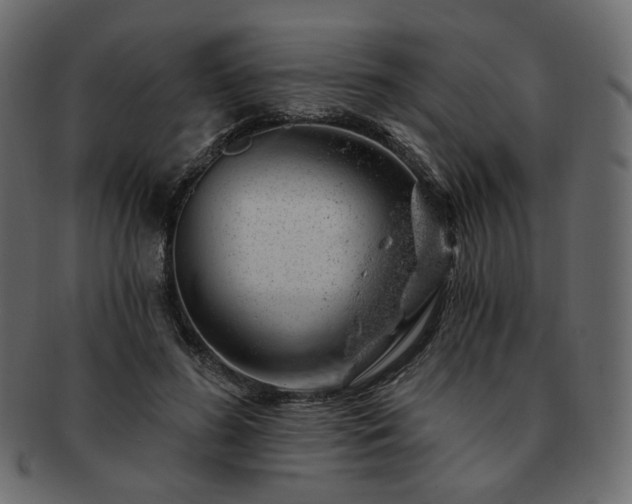 X0000093210596200710031422