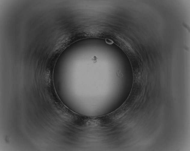 X0000093210599200710031422