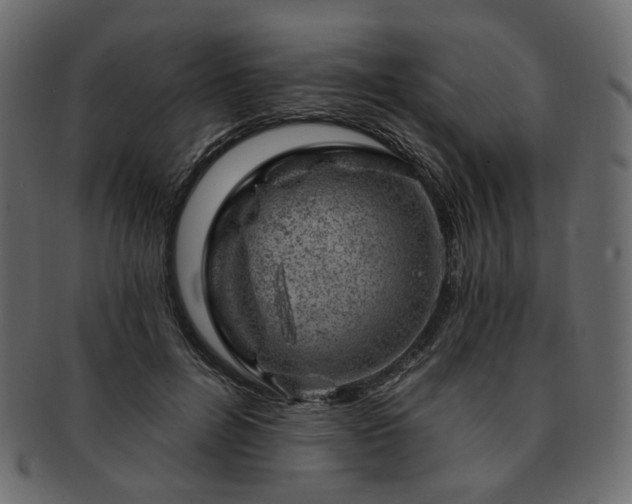 X0000093210600200710031422