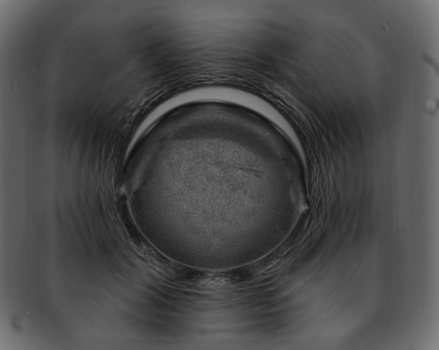 X0000093210604200710031422