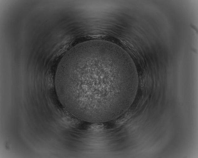 X0000093210606200710031422