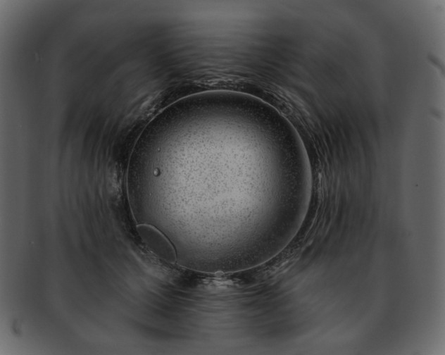 X0000093210607200710031422