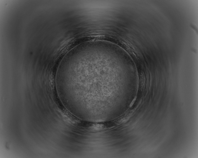 X0000093210609200710031422