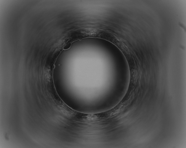 X0000093210612200710031422