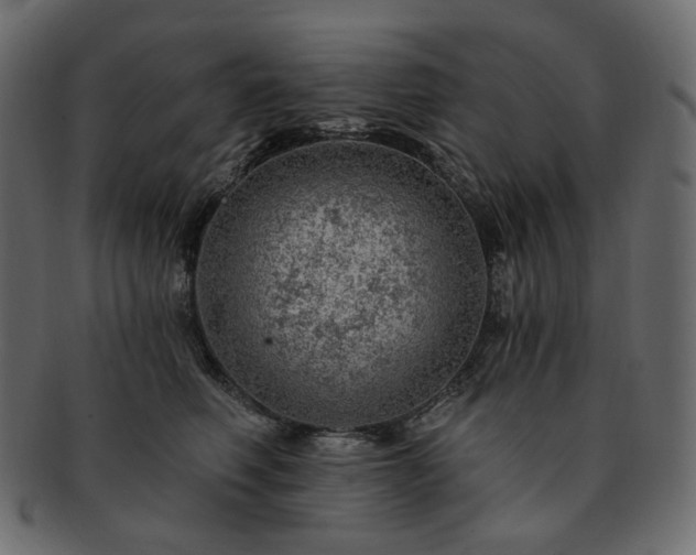 X0000093210614200710031422