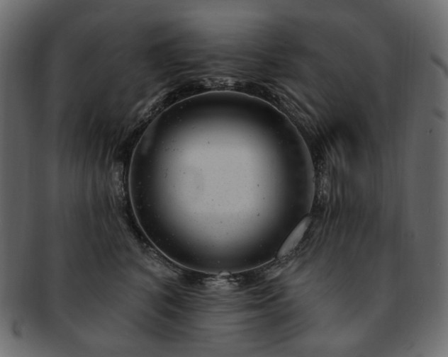 X0000093210616200710031422