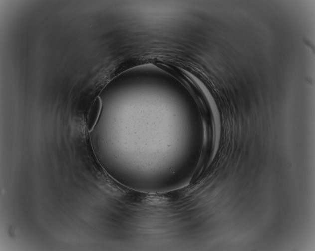 X0000093210617200710031422