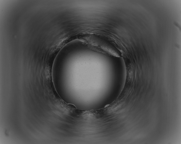 X0000093210620200710031421