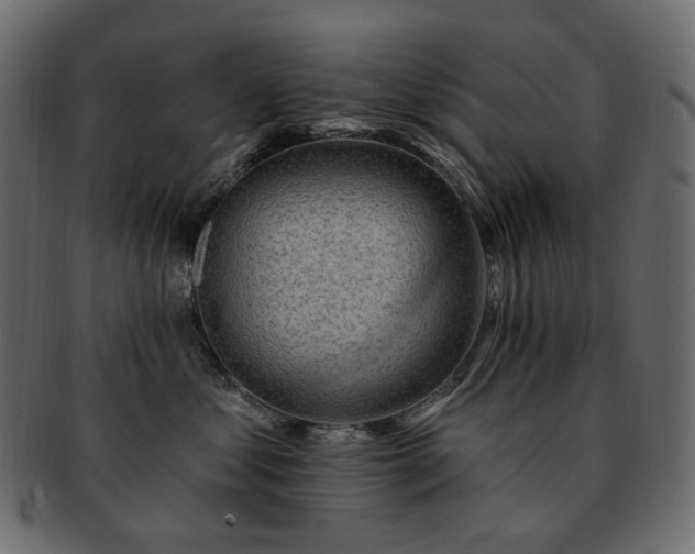 X0000093210621200710031421