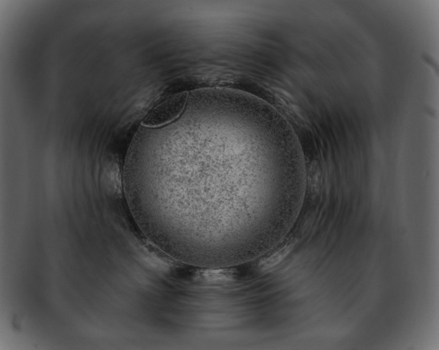 X0000093210622200710031421