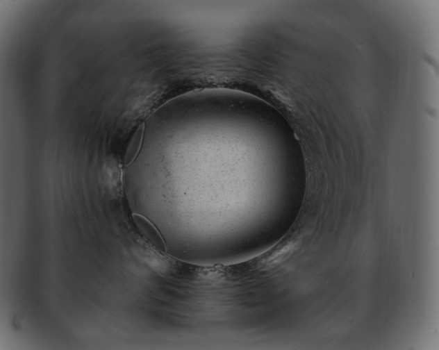 X0000093210624200710031421