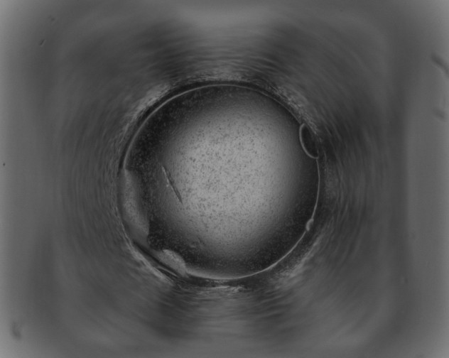 X0000093210625200710031421