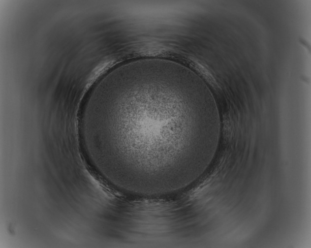 X0000093210626200710031421