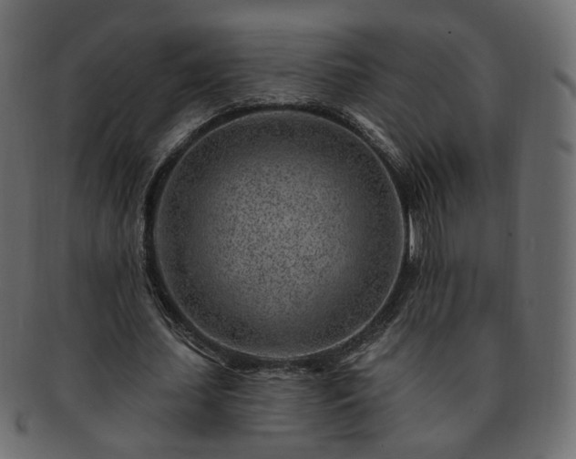 X0000093210627200710031421